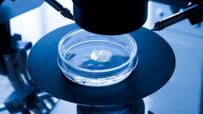 Role Of IVF In Infertility Treatment