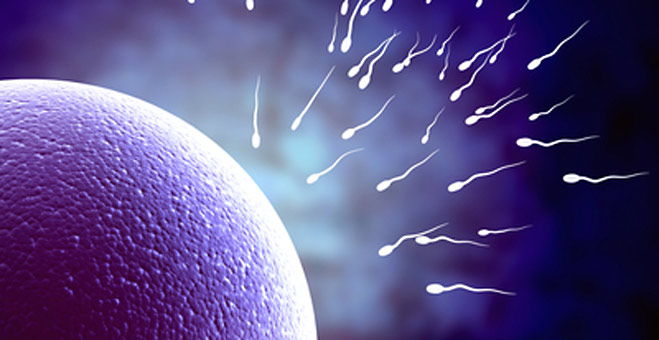 Azoospermia: When There is no Sperm in Your Ejaculate
