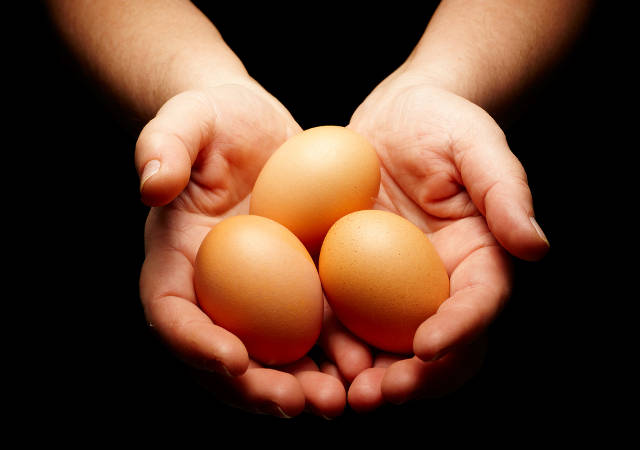 Your Age, Egg Quality, And Fertility Are Directly Connected