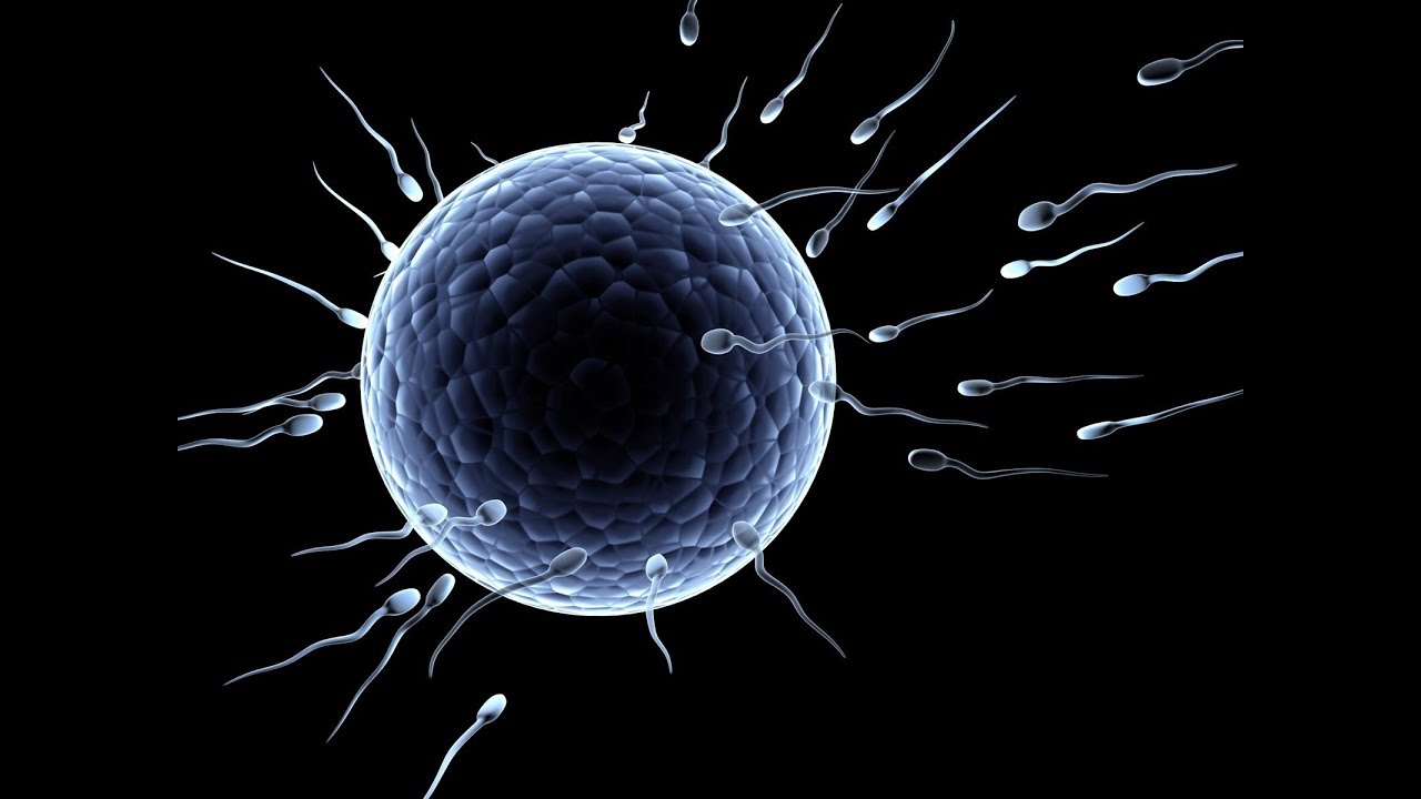 Beware of Fertility Myths and Misconceptions