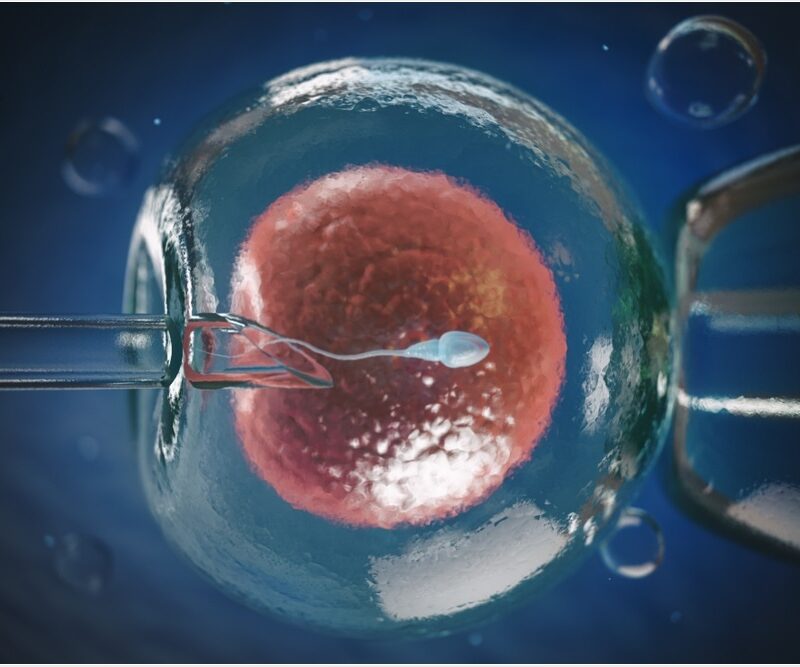 ivf